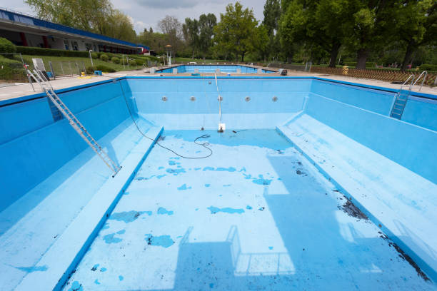 Best Basement water damage restoration  in West Alexandria, OH