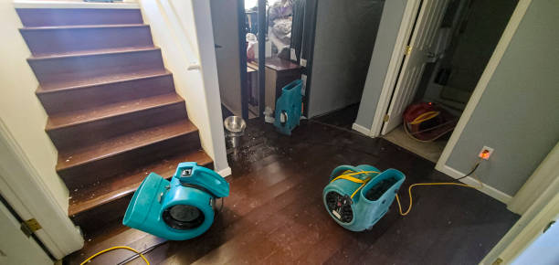 Water damage restoration insurance claims in West Alexandria, OH