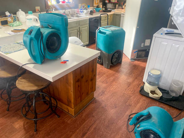 Best Water damage restoration process  in West Alexandria, OH