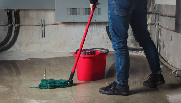 Best Commercial water damage restoration  in West Alexandria, OH