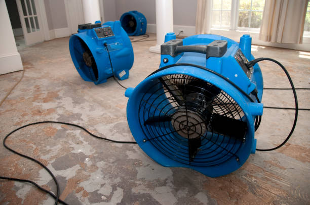 Best Emergency water damage restoration  in West Alexandria, OH
