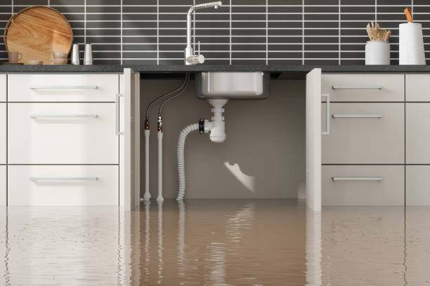 Best Local water damage restoration  in West Alexandria, OH