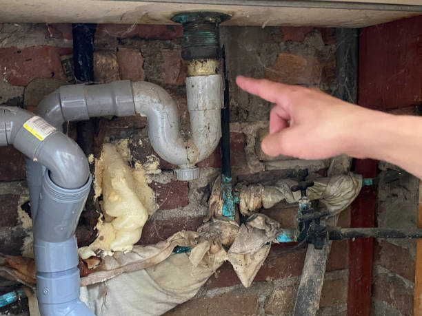 Best Water damage contractors near me  in West Alexandria, OH