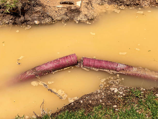 Trusted West Alexandria, OH Water damage restoration Experts