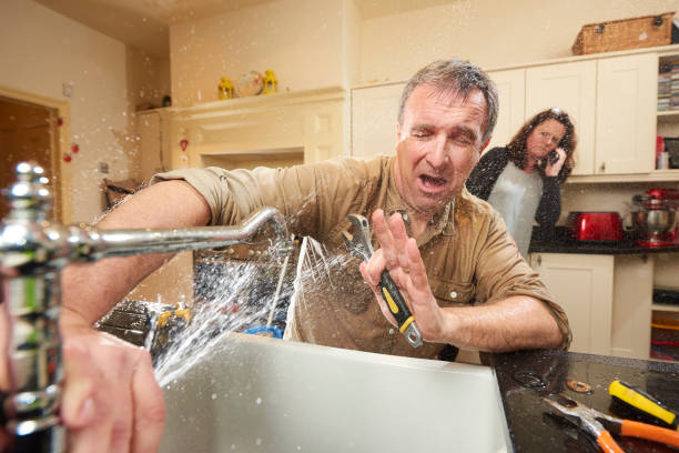 Best Flood restoration services  in West Alexandria, OH